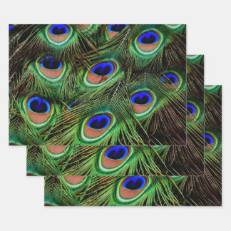 Beautiful Peacock Feathers Wrapping Paper Sheets