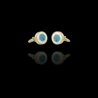Beautiful Peacock in Blue Teal Gold