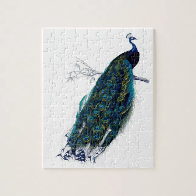 Beautiful peacock jigsaw puzzle Zazzle