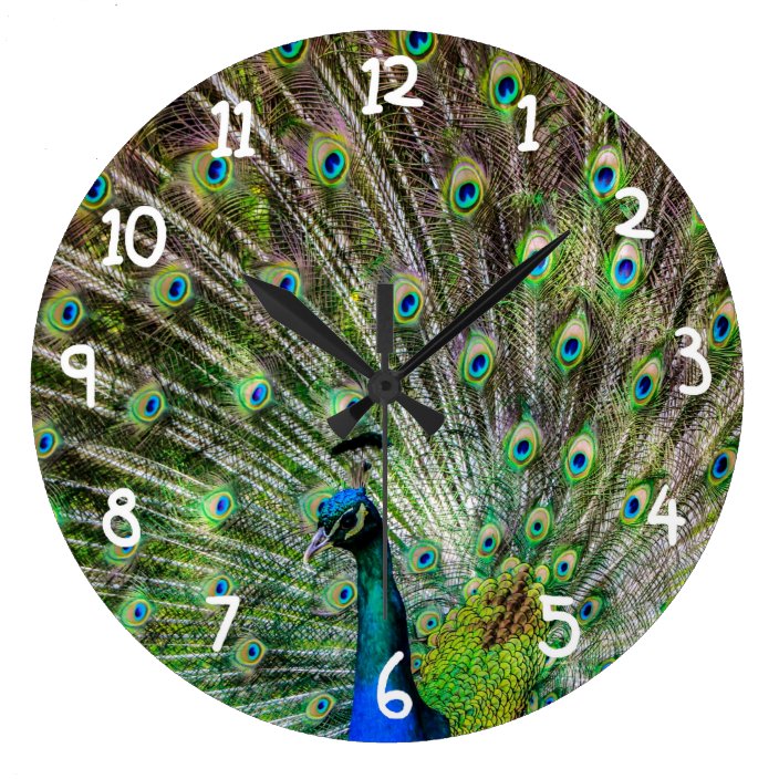 Beautiful Peacock Large Clock