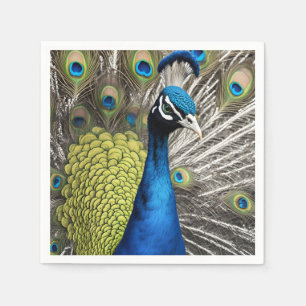 Beautiful Peacock Napkins
