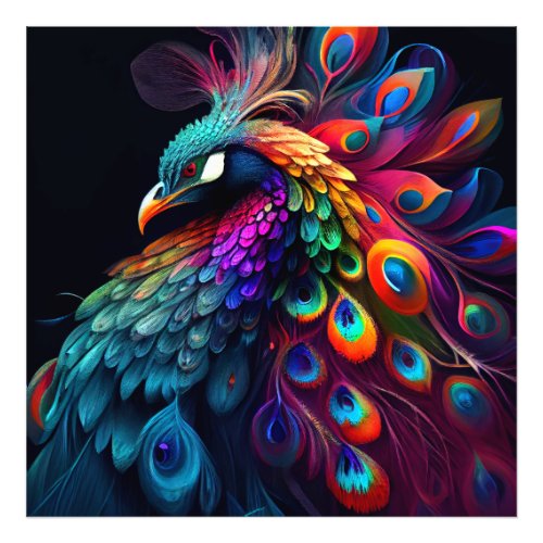 Beautiful peacock on black background artwork  photo print