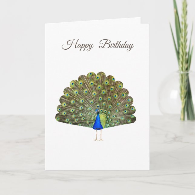 Beautiful Peacock on White Birthday Note Card (Front)