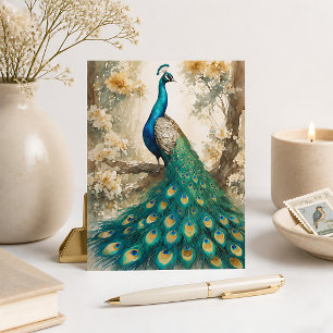 Beautiful Peacock Postcard