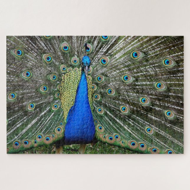 Beautiful Peacock Profile Jigsaw Puzzle (Horizontal)