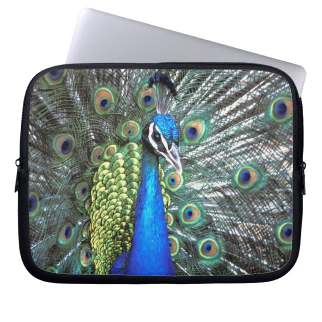Beautiful peacock spreading colorful feathers laptop sleeve (Front)
