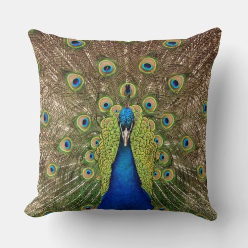 Beautiful peacock throw pillow