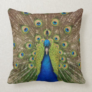 Beautiful peacock throw pillow