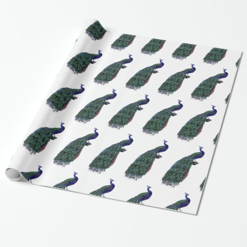 Beautiful Peacock Wrapping Paper