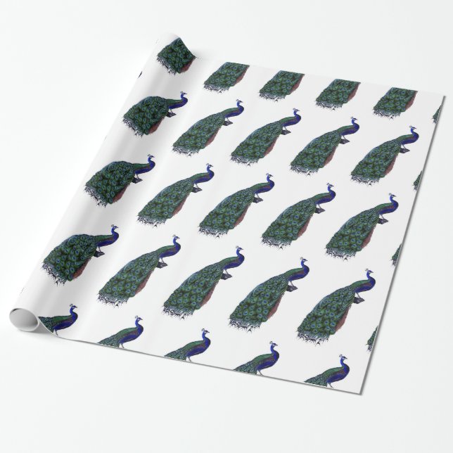 Beautiful Peacock Wrapping Paper (Unrolled)