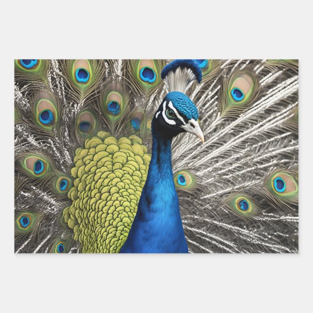Beautiful Peacock Wrapping Paper Sheets (Front)