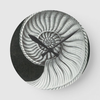 Beautiful pencil drawing of Amaltheus ammonite Round Clock