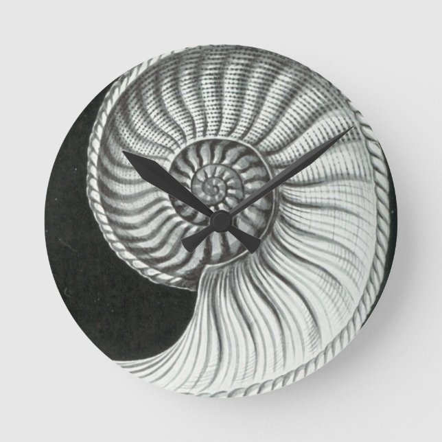 Beautiful pencil drawing of Amaltheus ammonite Round Clock (Front)