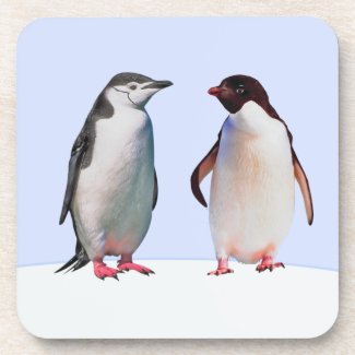 Beautiful Penguin Bird Couple on Light Blue