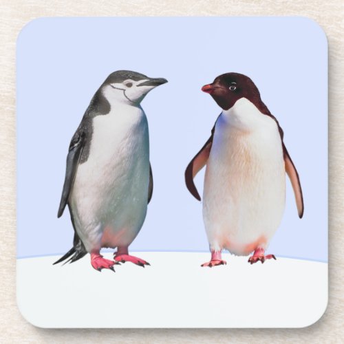 Beautiful Penguin Bird Couple on Light Blue Beverage Coaster