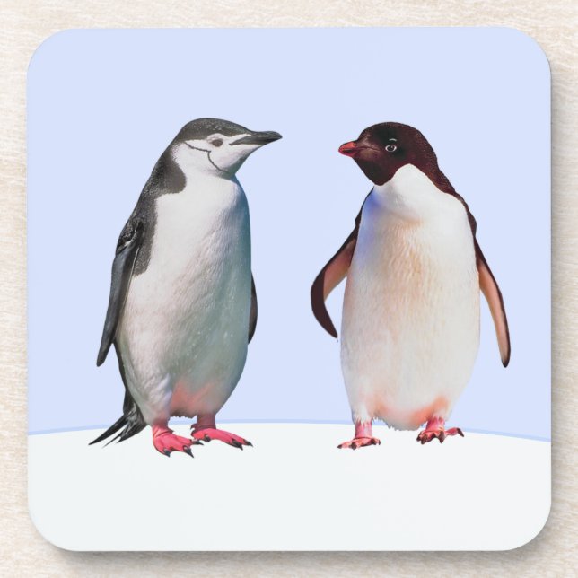 Beautiful Penguin Bird Couple on Light Blue Beverage Coaster (Front)