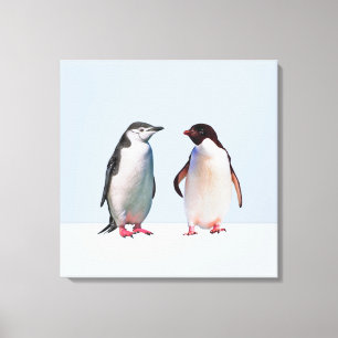 Beautiful Penguin Couple on Light Periwinkle Blue Canvas Print
