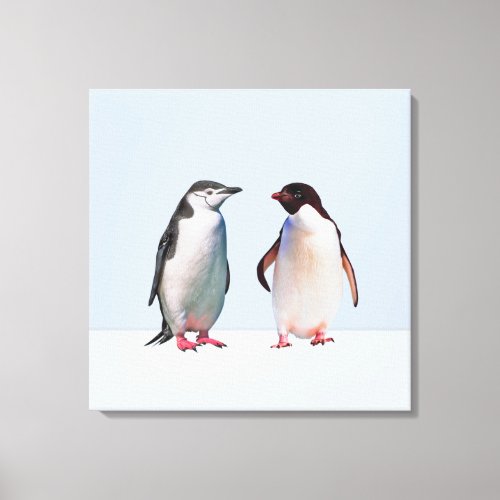 Beautiful  Penguin Couple on Light Periwinkle Blue Canvas Print