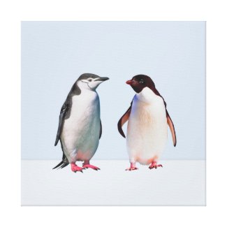Beautiful  Penguin Couple on Light Periwinkle Blue