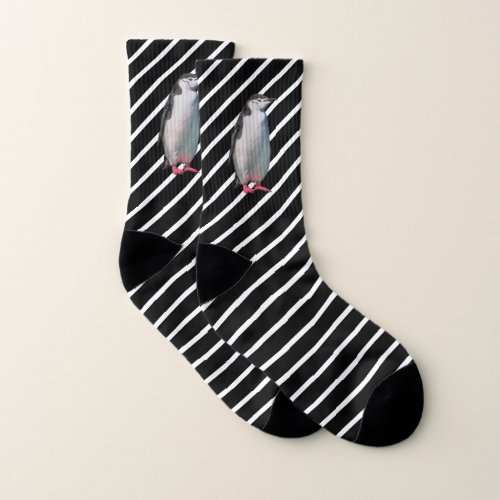 Beautiful Penguin on Black and White Striped Socks