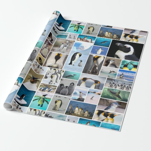 Beautiful Penguin Photo Collage Pattern Wrapping Paper