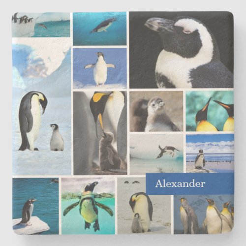 Beautiful Penguin Photo Collage with First Name Stone Coaster