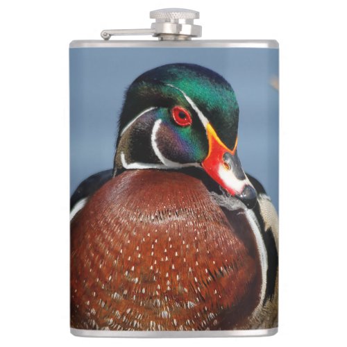 Beautiful Pensive Wood Duck in the Marsh Flask