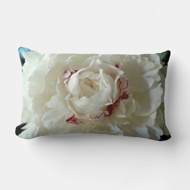 Beautiful Peony Bloom Lumbar Pillow (Front)