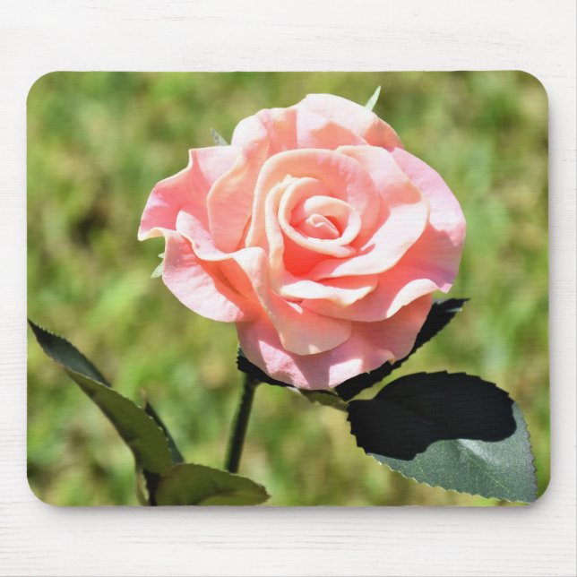 Beautiful Perfect Pink Rose Flower Mouse Pad (Front)