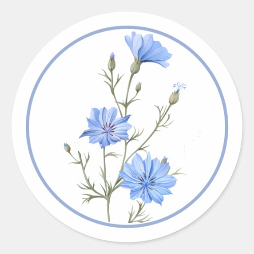 Beautiful Periwinkle Blue Chicory Flower Herb Classic Round Sticker