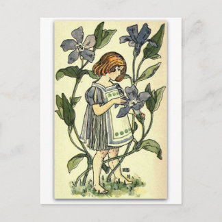 Beautiful Periwinkle by NELLIE BENSON Postcard