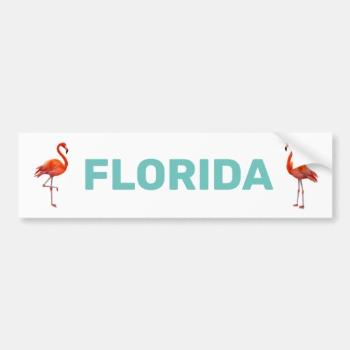 Beautiful Personalized Florida Flamingos Bumper Sticker