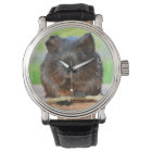 Beautiful Personalized Gold Agouti Guinea Pig