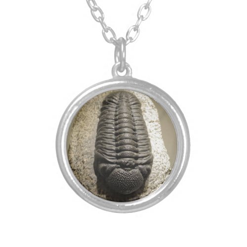 Beautiful Phacops trilobite fossil photo Silver Plated Necklace