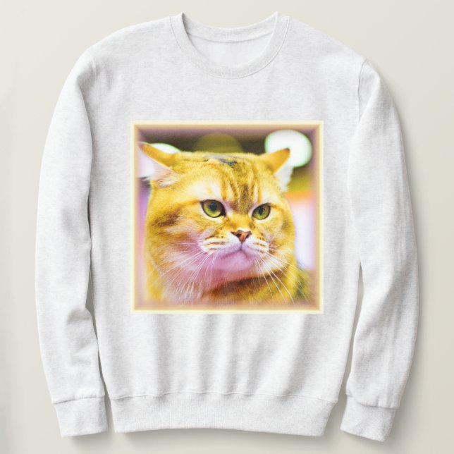 Beautiful Photo of a Cute Cat . Buy Now Sweatshirt (Design Front)