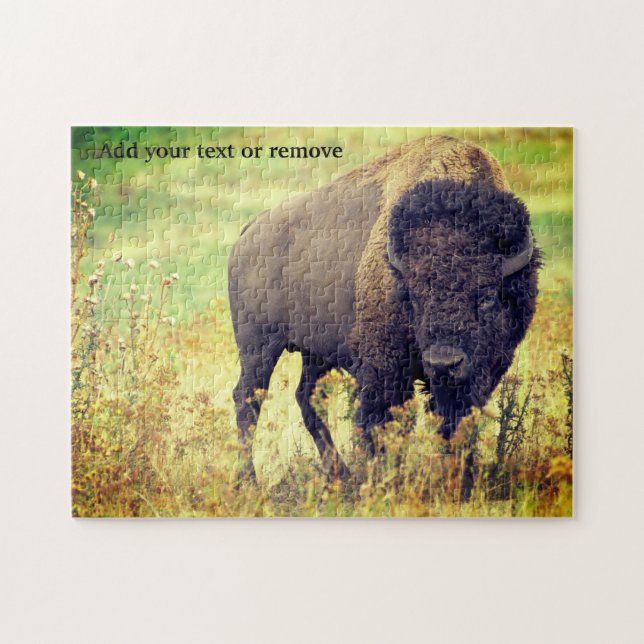 Beautiful photograph of a North American bison, Jigsaw Puzzle (Horizontal)