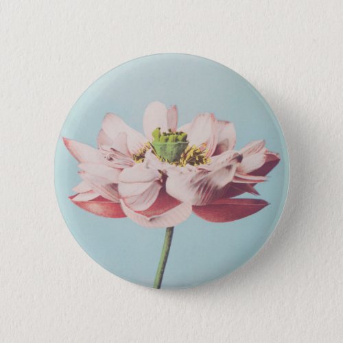 Beautiful photomechanical prints of Lotus Flowers Button