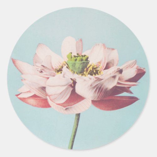 Beautiful photomechanical prints of Lotus Flowers Classic Round Sticker
