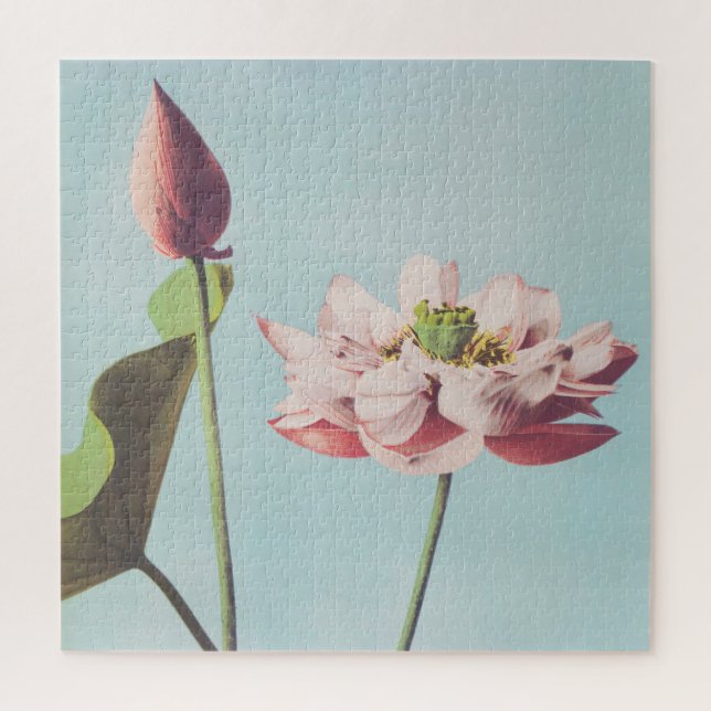 Beautiful photomechanical prints of Lotus Flowers Jigsaw Puzzle (Vertical)