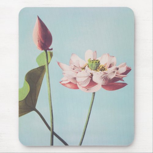 Beautiful photomechanical prints of Lotus Flowers Mouse Pad
