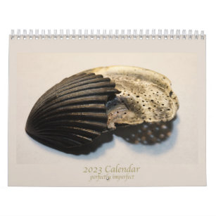 Beautiful photos of broken shells calendar