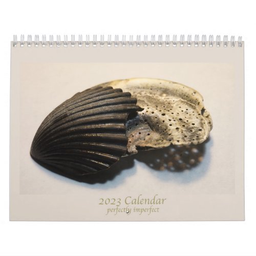Beautiful photos of broken shells calendar