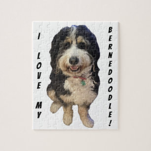 Beautiful picture of Birdie the Bernedoodle dog Jigsaw Puzzle