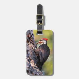 Beautiful Pileated Woodpecker on the Tree Luggage Tag