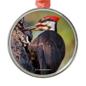 Beautiful Pileated Woodpecker on the Tree Metal Ornament