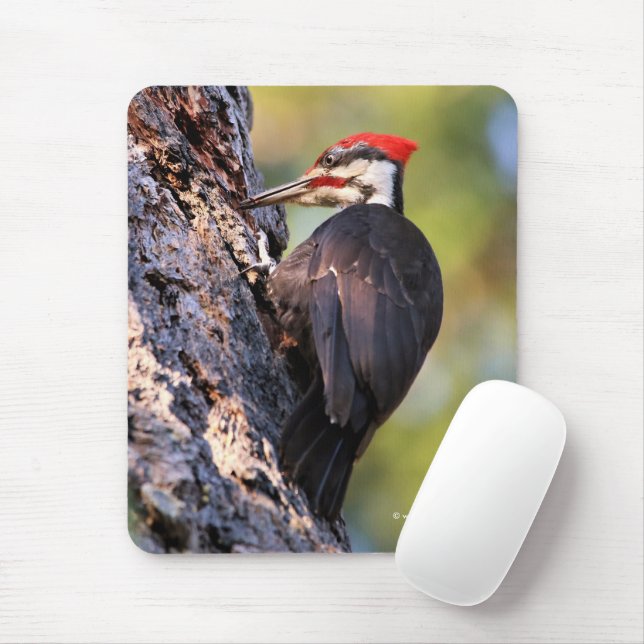 Beautiful Pileated Woodpecker on the Tree Mouse Pad (With Mouse)