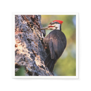 Beautiful Pileated Woodpecker on the Tree Napkins