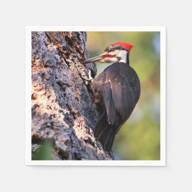 Beautiful Pileated Woodpecker on the Tree Napkins (Front)
