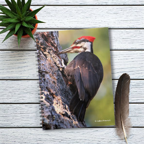 Beautiful Pileated Woodpecker on the Tree Notebook