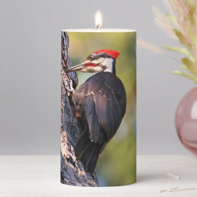 Beautiful Pileated Woodpecker on the Tree Pillar Candle (In Situ)